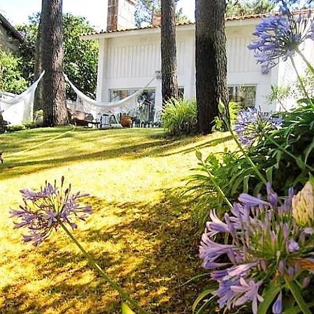 Cabedelo Beach House ビアナドカステロ エクステリア 写真